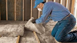 Best Eco-Friendly or Green Insulation Solutions  in Hwatha, IA