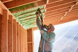 Professional Insulation in Hiawatha, IA